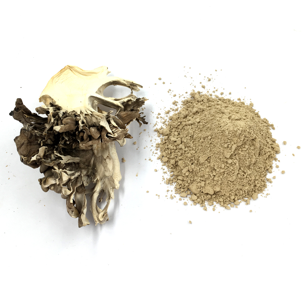 灰树花粉Dried maitake mushroom powder.jpg